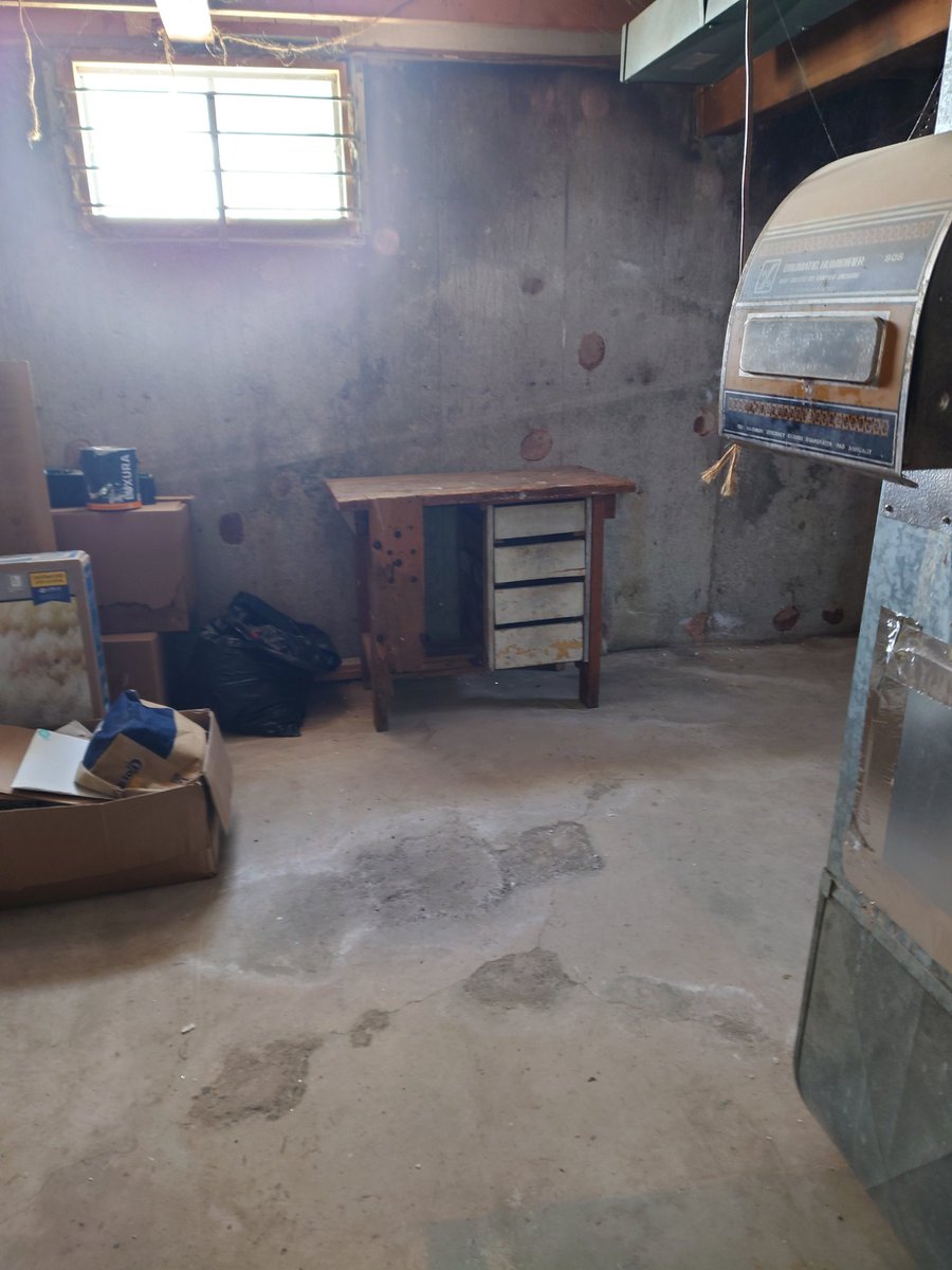 RandomAvulnine's tweet image. 