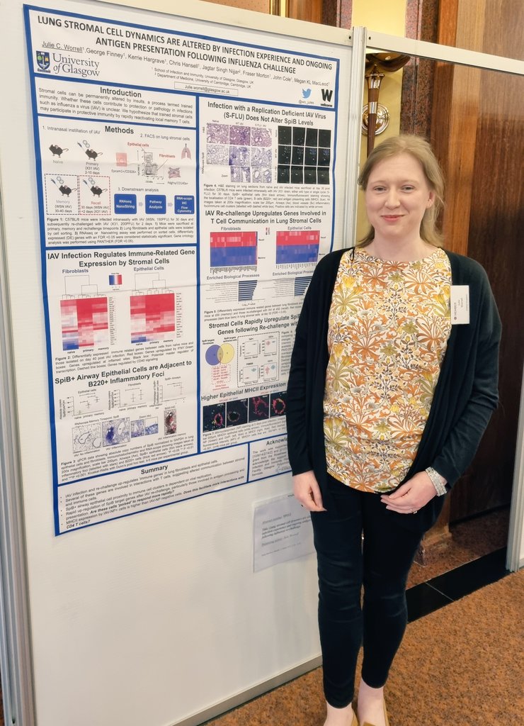 Had a great time presenting my poster today at #LSC2023 🫁 ft fibroblasts, epithelial cells and influenza virus! Thanks to everyone who popped by to chat 😎 @3Assembly @EuroRespSoc @BALRcommunity #ECR #stromalrecall #fantasticfibroblasts