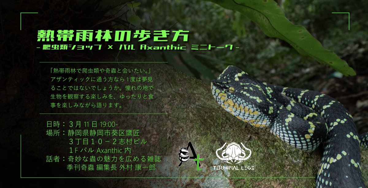 Axanthic_UROKO's tweet photo. 本日は@Terminal_Legs トークショーにご参加いただき誠にありがとうございました✰
バルも満席で外村様の『熱帯雨林の歩き方』スライドショーはマニアックな話しで大変盛り上がりました✨
次回の奇蟲イベント開催にご期待ください𓆦
#Terminallegs #爬虫類ショップAxanthic https://t.co/QLy7OGOdj6
