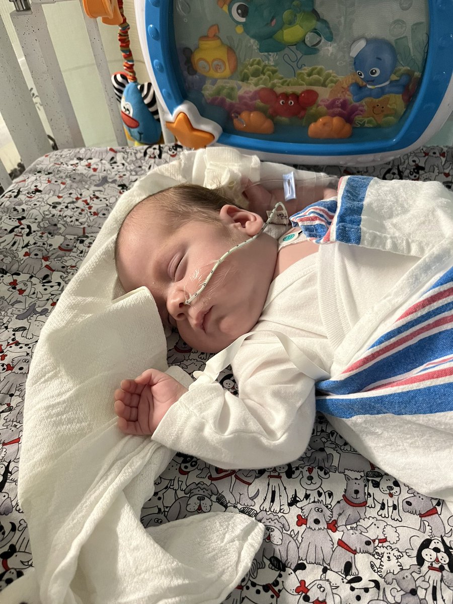 IslanderNation's tweet photo. Test results came back, Leon has E. Coli. Fortunately they caught it in time and it did not spread to the spine again. He has a UTI and the bloodwork confirmed it came from his kidneys. Temp is normal and he’s continuing to take feedings. #PrayForLeon https://t.co/tVfpUbolT5