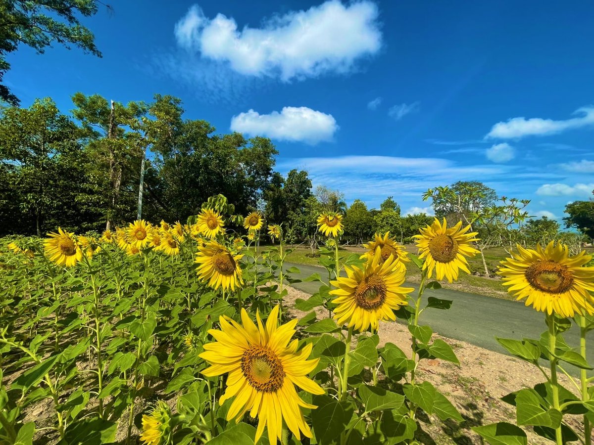 This is a road to the mountains of books, there is no end to learning