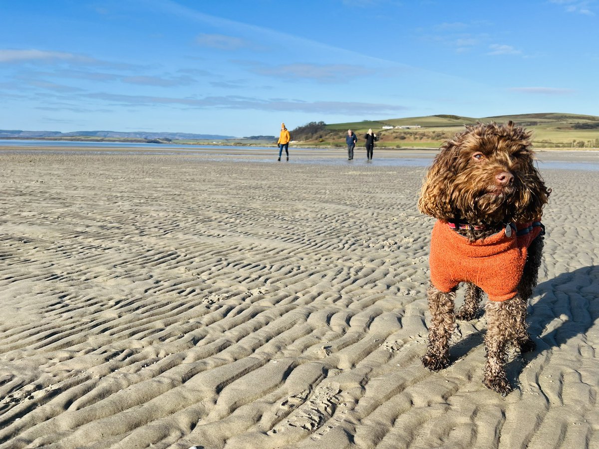 ChloeProc's tweet image. Another weekend beach hopping over the border 🏴 #WildAboutArgyll #VisitScotland #Scotland