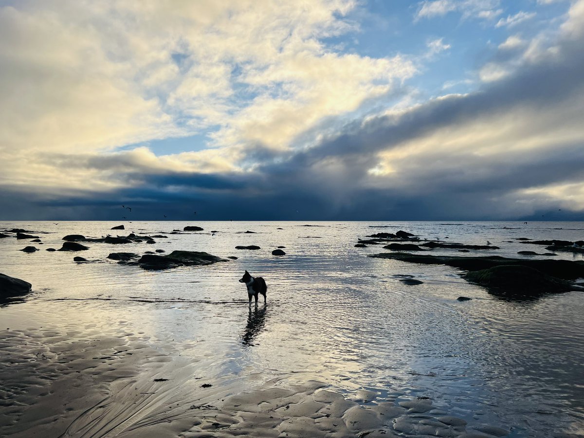 ChloeProc's tweet image. Another weekend beach hopping over the border 🏴 #WildAboutArgyll #VisitScotland #Scotland