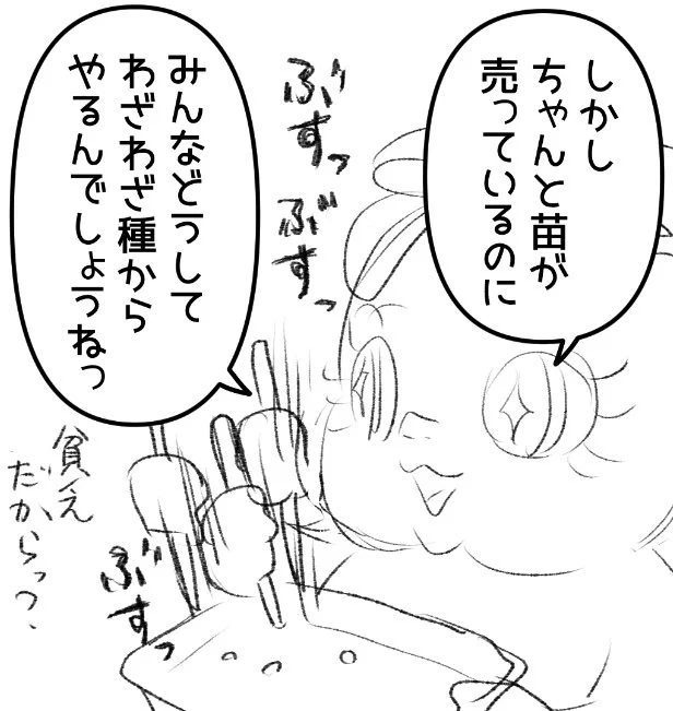 来月は実生だよー。 
