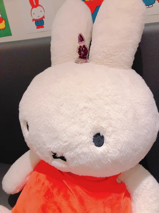 こしろう…うさこさんだらけよ… 