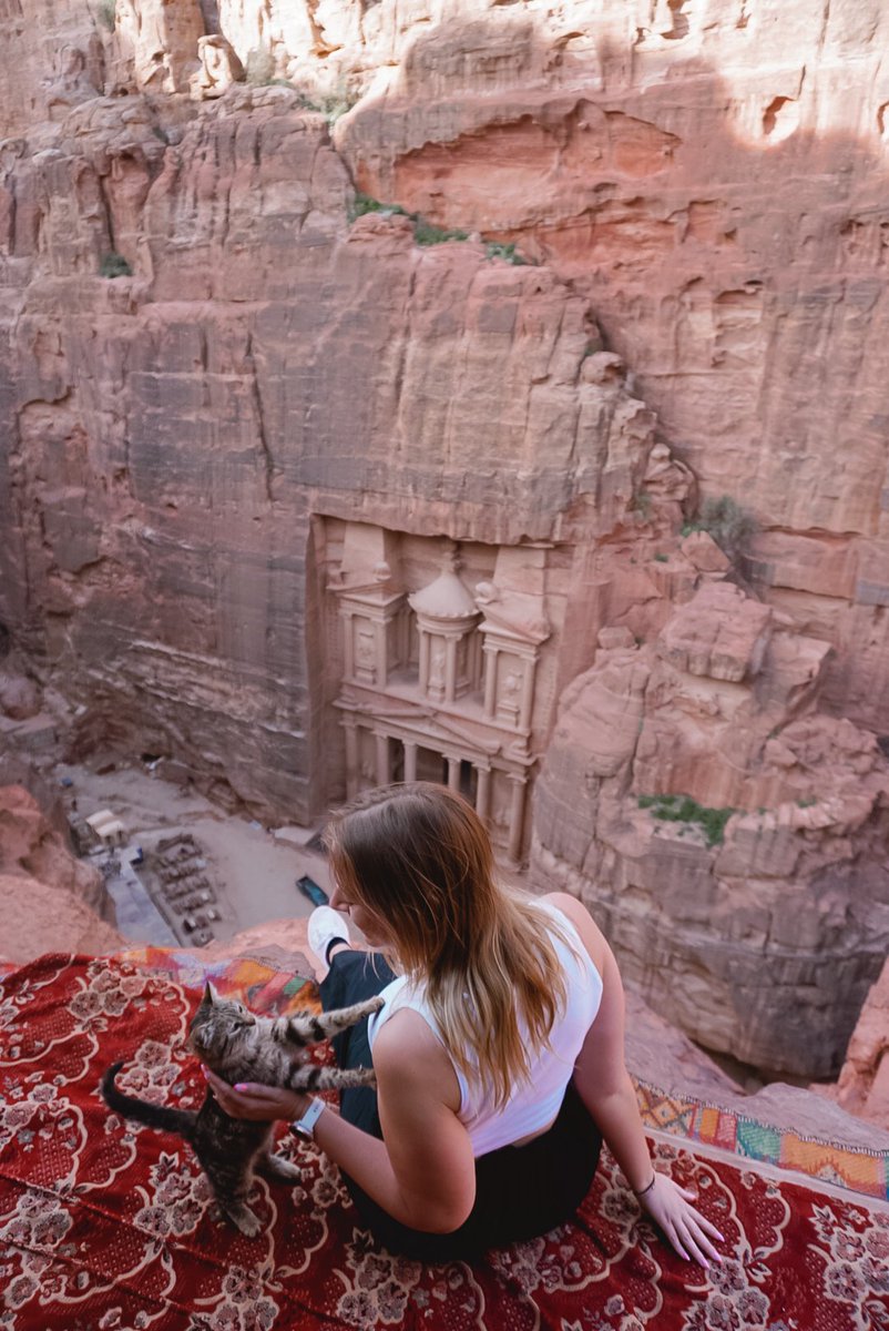 Ambre 🍋 tweet media