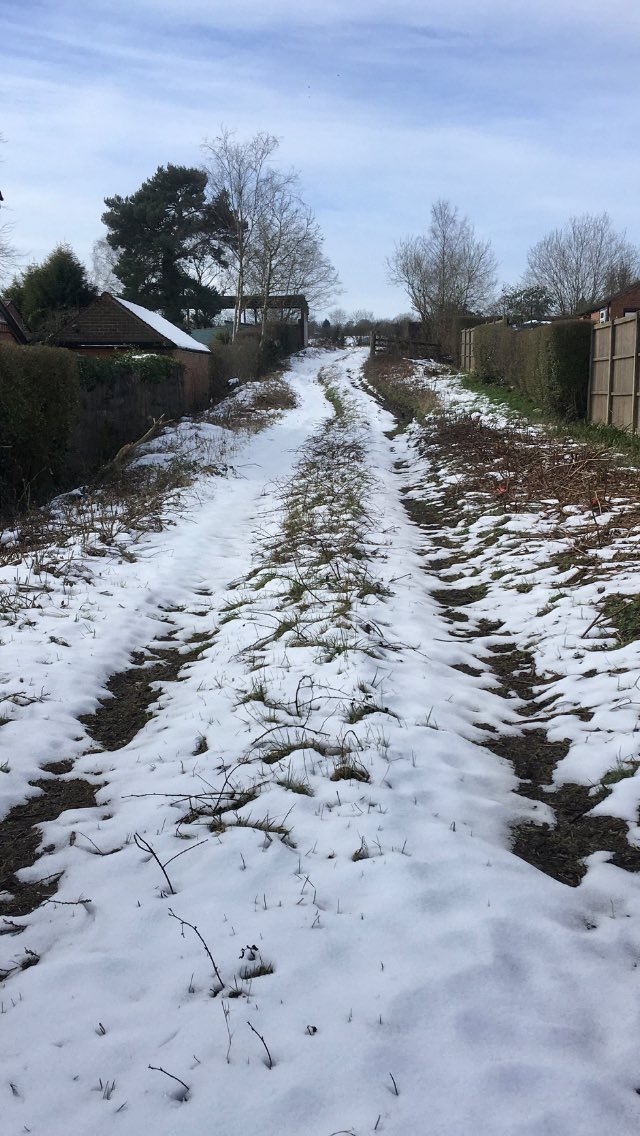 FloralRainbowAW's tweet photo. A fair amount of snow still crunchy underfoot on my #MiddayWalk Chaffinch, Sparrow, Magpie & Dunnock in the cemetery, wind has dropped but still cold 🥾⛄️❄️🌼 https://t.co/9mJupeZchZ