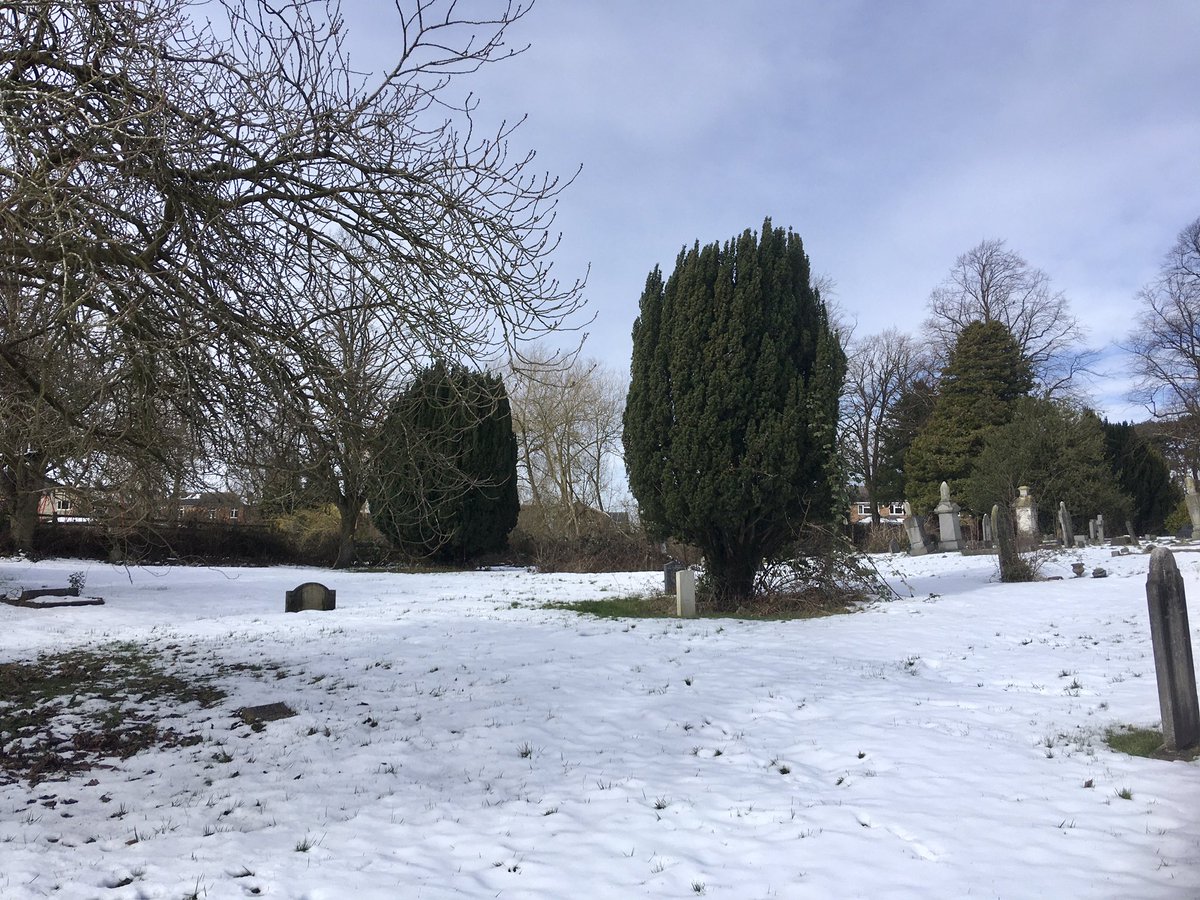 FloralRainbowAW's tweet photo. A fair amount of snow still crunchy underfoot on my #MiddayWalk Chaffinch, Sparrow, Magpie & Dunnock in the cemetery, wind has dropped but still cold 🥾⛄️❄️🌼 https://t.co/9mJupeZchZ