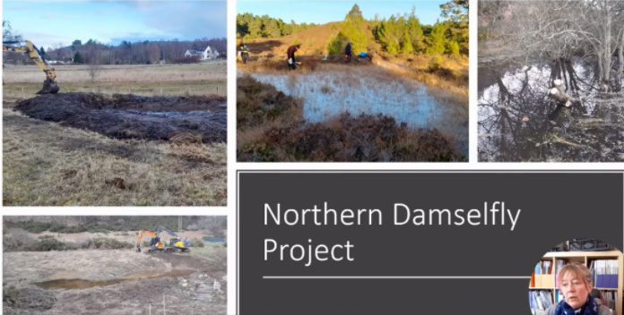 ScotlandBds's tweet photo. Updates from BDS staff across the UK now - the Willow Emerald has now been seen in NE & NW England, and the Northern Damselfly project is now complete with 2 more ponds in the #Cairngorms. #KeySites #TeamDragonfly https://t.co/NCIdAmdGiL