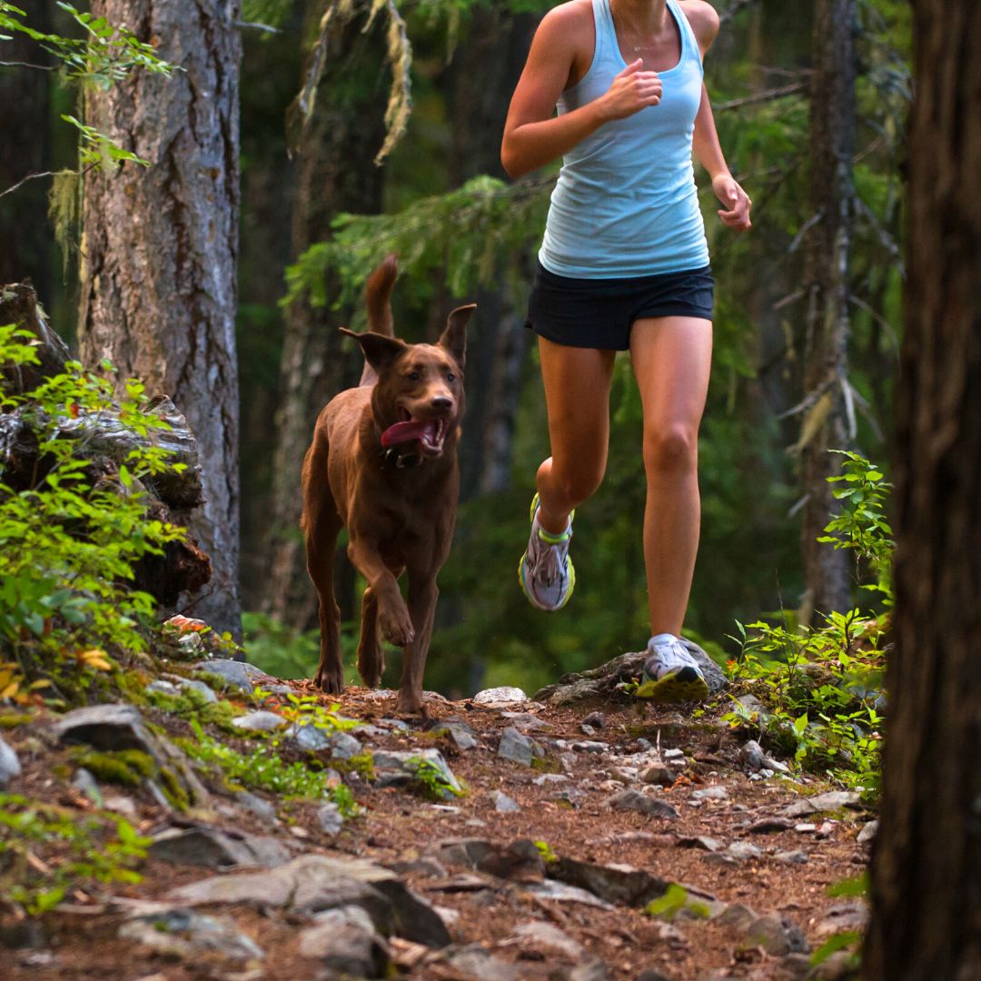 Timberwolfpet_'s tweet image. If the weather is warm where you are, why not take your dog for a jog and enjoy the outdoors together. #30daysofdogfitness