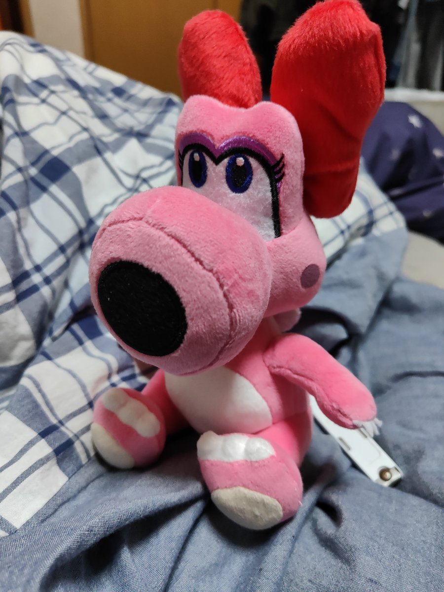 birdo00's tweet photo. FindX3proで撮影したキャサリンとカロンとカメック
 #FindX3pro https://t.co/SCxlX1fAu3