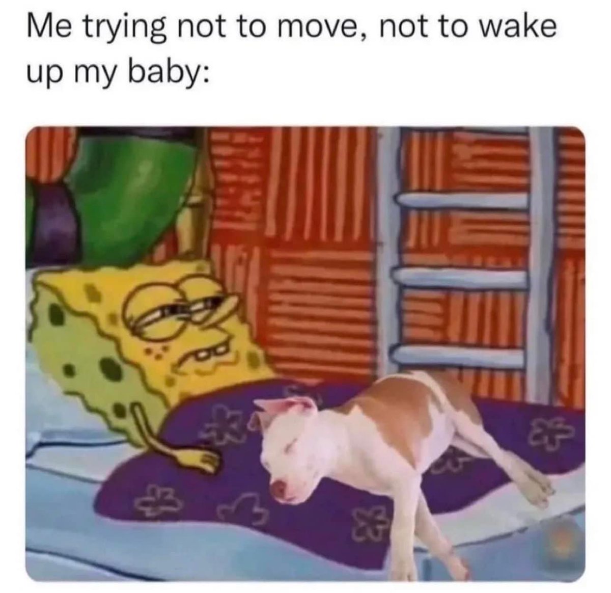WholesomeMeme's tweet photo. https://t.co/YsSlsjVtj3