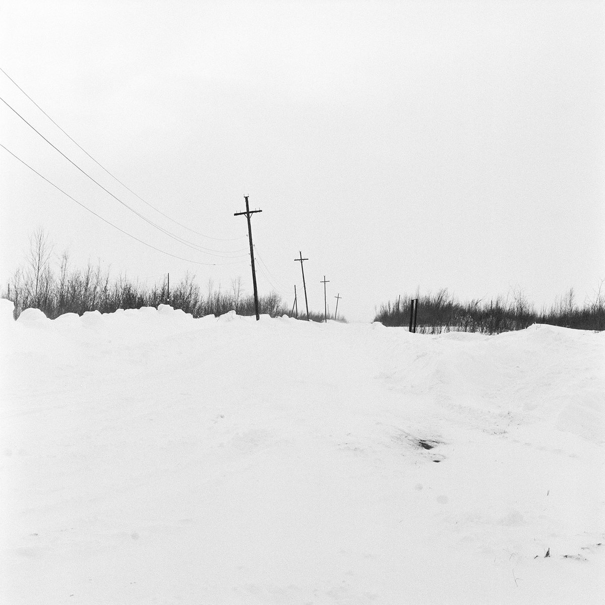mildabooks's tweet photo. π· Four crosses in Igarka, Russia, 2020
https://t.co/2Bsasfv0uT
π SUPPORT THIS STORY FAR BEYOND THE POLAR CIRCLE TO BECOME A BOOK! βοΈ
https://t.co/El0mNAi5Et
#kickstarter #motherland #igarka #russia #deportation #exile #siberia #photobook #comingsoon #crowdfunding #campaign https://t.co/FhI76FjJjF