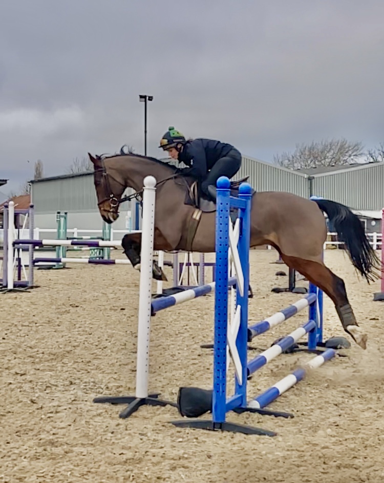 God’s Own claimed 3 G1 victories, sandwiching top-level success in the 2016 Melling Chase <a href="/AintreeRaces/">Aintree Racecourse</a>. Since retirement God’s Own has been competing in dressage &amp; show jumping with Sherrie Derrick. We look forward to welcoming them at the RoR Parade on day 1 of #TheFestival.