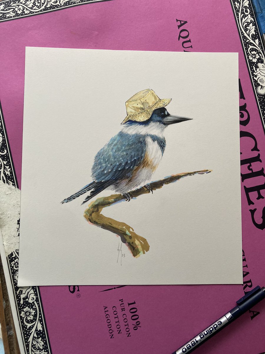 Spencer Reinhard tweet media