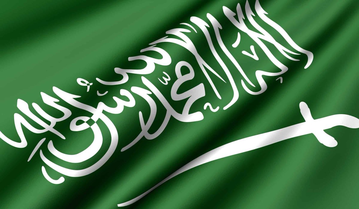 خضراءُ
فيها خيرُ ما نطق الورى
والسيف إن حميَ الزمانُ وطيسا

روحي الفداءُ
وكل ما ملكت يدي
يا راية لا تقبل التنكيسا

#يوم_العلم
