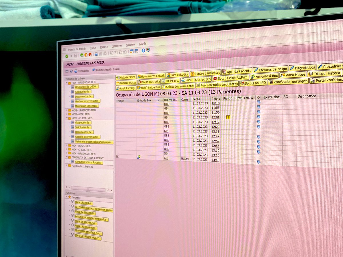 Fatima Crispi tweet media