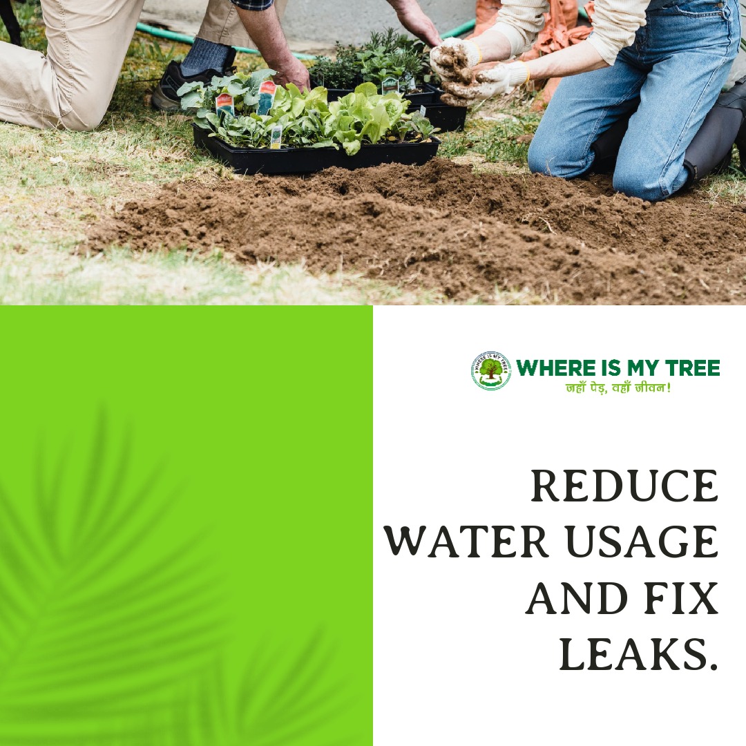 Whereismy_Tree's tweet photo. Are you looking for ways to make a positive impact on your community  #GoGreen #Sustainability #EcoFriendly

#whereismytree #plantforfuture #treeplantation https://t.co/ulT1jUVnrA
