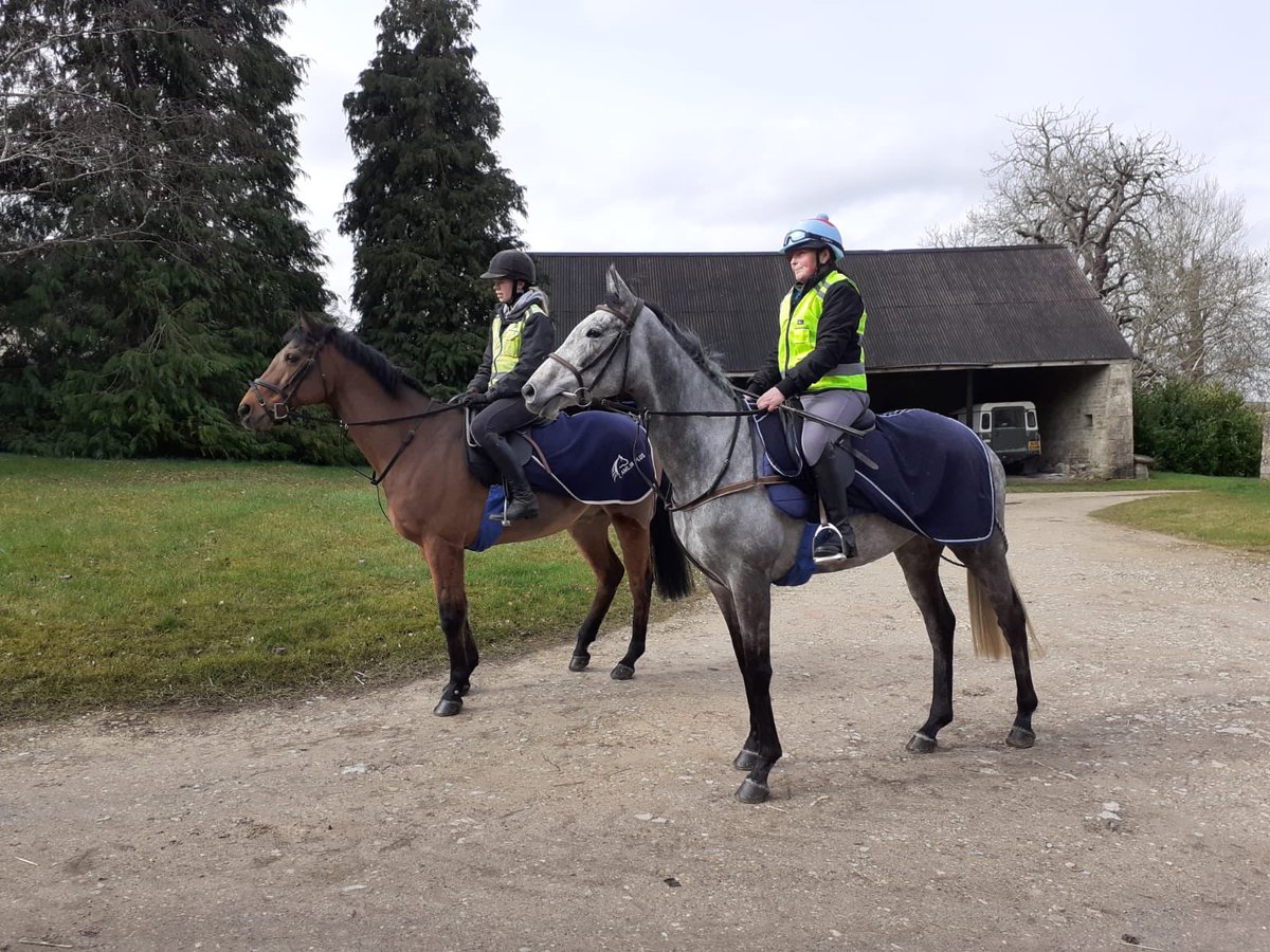 carlhinchy's tweet photo. Impression Chic ⁦@rubicon_racing⁩ heading off for a nice 2 hour hack around the Cotswold Estates. Heading into full training soon. Shares Available in this exciting well bred filly DM for details https://t.co/9kIVwU6BZF