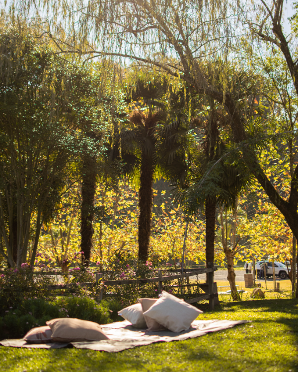 Turismo_Bento's tweet photo. Bora relaxar nesse findi?🌳💚🍹
Foto: @cibeletremeafotografia
👉 #BentoPuraInspiraçao #TurismoBento #cittadelvino #valedosvinhedos #caminhosdepedra #encantosdeeulalia #valedasantas #cantinashistoricas #bentoemvindima #VisiteBento #Bentolovers #CurtaBento #SerraGaucha https://t.co/M9lYziWdwu