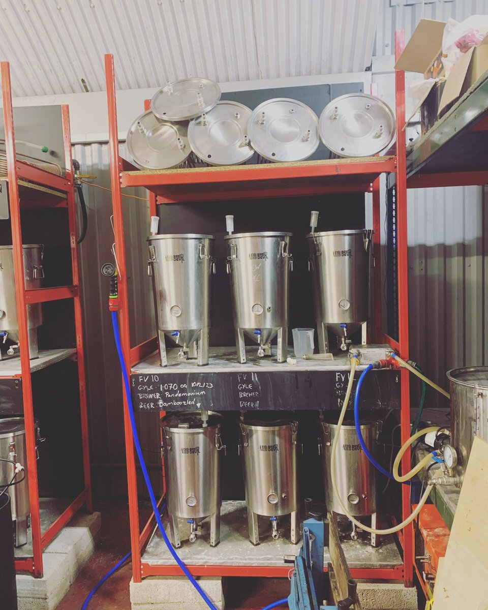 doomedbrewing's tweet photo. Not doomed yet… https://t.co/NUoijtLkm9