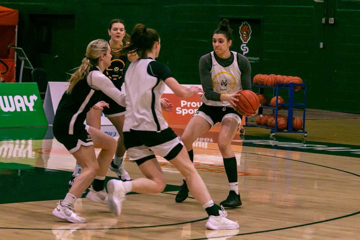 BearsandPandas's tweet photo. 𝗦𝗘𝗠𝗜𝗙𝗜𝗡𝗔𝗟 𝗦𝗔𝗧𝗨𝗥𝗗𝗔𝗬 🐼 🏀
@pandasbball and the @queensgaels will meet this afternoon with a spot in the @USPORTSca Final on the line! 

📍 Sydney, NS
⏰ 3:00 p.m. AT
💻 https://t.co/Z0YIYXgzkT
📊 https://t.co/atmpCPYHXt https://t.co/YjNtv1CLZp