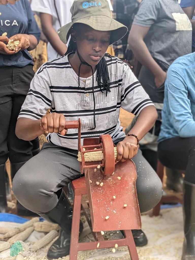Hand-operated corn shellers are game-changers for small-scale farmers, reducing labor time and increasing efficiency.

Let's support sustainable agriculture and empower farmers with the right tools! #SmallScaleFarming #AgricultureTools #efficiency