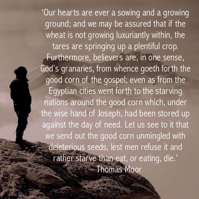 fccscot's tweet photo. ‘Our hearts are ever a sowing and a growing ground... #ThomasMoor #Growth #ChristianLife https://t.co/Xc4RzdeXYK