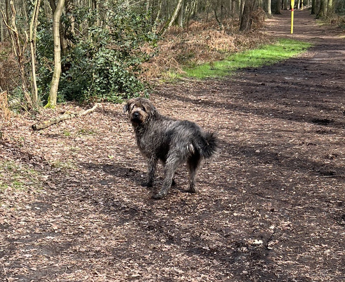 Wat glotzt Du mir so auffen Arsch???