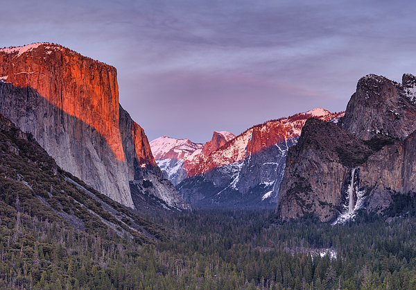 New artwork for sale! - "Golden Glow" - fineartamerica.com/featured/golde… <a href="/fineartamerica/">Fine Art America</a>