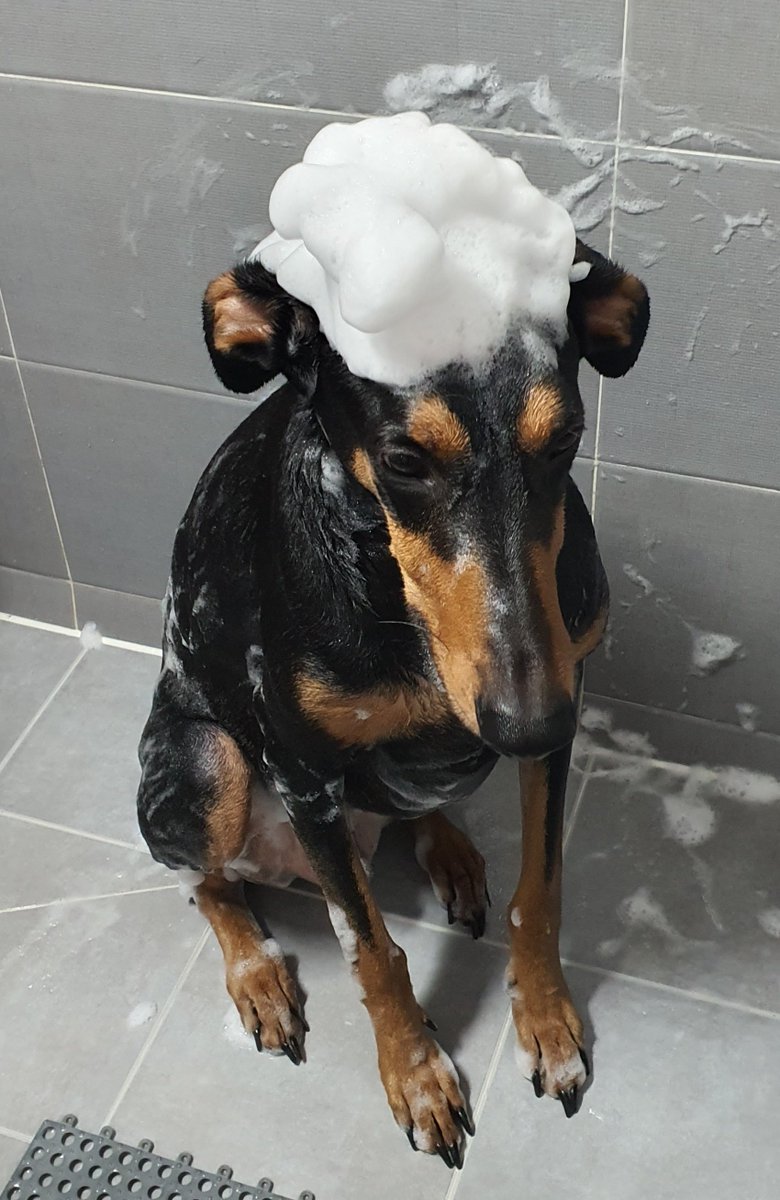 거품가나지