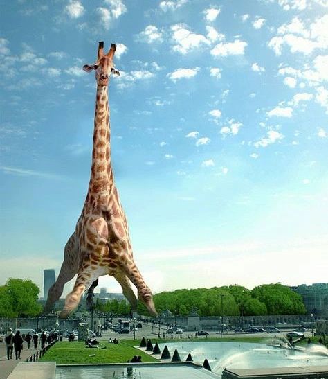nature_gopi's tweet photo. The great giraffe 🦒 tower 🗼
Amazing tourist place 🤩🤩❤️
#giraffe #tower
 #Tourist_Attractions
 #tourisme #amazing
 #effort #Innovation https://t.co/KJN0F1oEM1