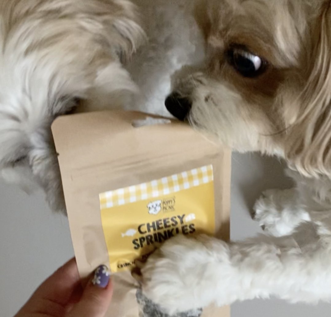 Dogs go mad for CHEESY SPRINKLES!

Just add a teaspoon or two on their meals as a delicious topper. Or why not sprinkle some in a snuffle mat, or on their favourite toy. WOOF!