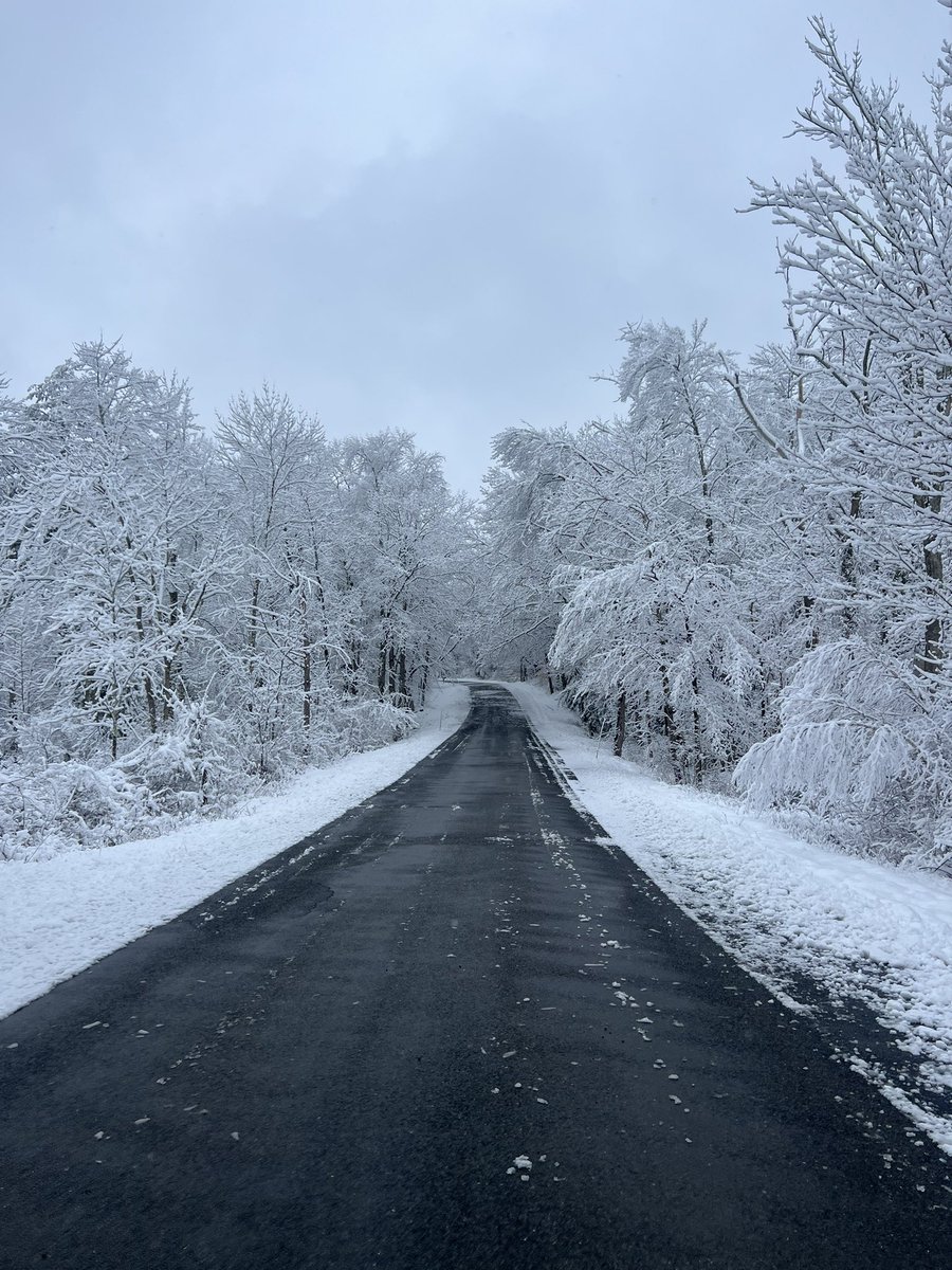 25_joshwhite's tweet photo. 4” in Goshen @ryanhanrahan @DarrenSweeney @_RachaelTV @RachelFrank_CT https://t.co/KApPJnnllw