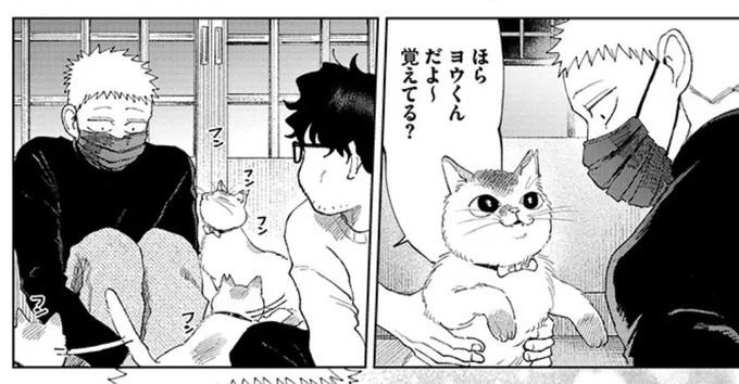 やうこしょ更新されました😷🐈️🤓📖 https://t.co/TyAqjNP2Xa #やうやう古書店は今日も平和です 