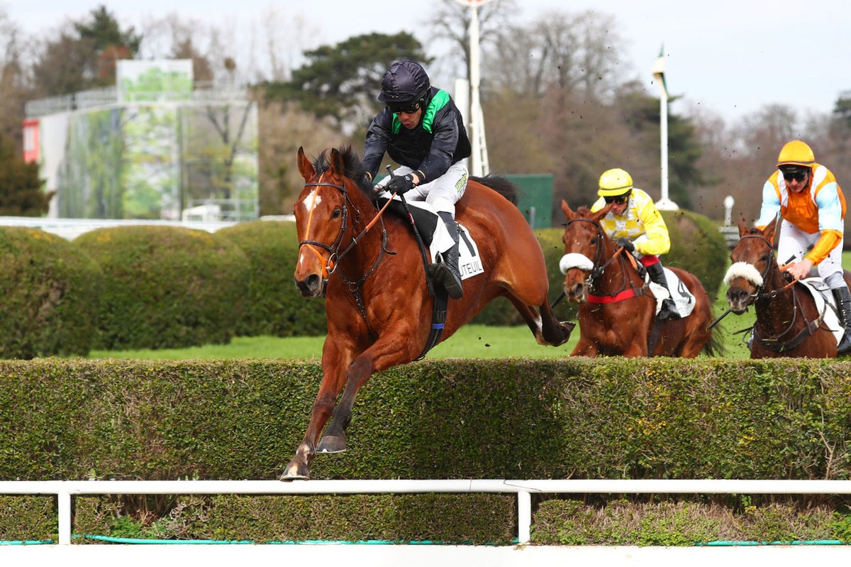 Jour de Galop (@jour_de_galop) on Twitter photo Acheté par <a href="/agentbloodstock/">Highflyer Bloodstock</a> chez <a href="/InfoArqana/">ARQANA</a> JUNTOS GANAMOS (Martaline <a href="/HarasMontaigu/">Haras de Montaigu</a>) remporte le PRIX DUC D'ANJOU (Gr3) samedi à <a href="/Hippo_Auteuil/">Hippodrome_Auteuil</a> avec <a href="/FelixdeGiles/">Felix de Giles</a>. Il a été chez <a href="/HarasLDC/">Powell Richard</a> 📷 <a href="/ScoopDyga/">ScoopDyga</a> Acheté par <a href="/agentbloodstock/">Highflyer Bloodstock</a> chez <a href="/InfoArqana/">ARQANA</a> JUNTOS GANAMOS (Martaline <a href="/HarasMontaigu/">Haras de Montaigu</a>) remporte le PRIX DUC D'ANJOU (Gr3) samedi à <a href="/Hippo_Auteuil/">Hippodrome_Auteuil</a> avec <a href="/FelixdeGiles/">Felix de Giles</a>. Il a été chez <a href="/HarasLDC/">Powell Richard</a> 📷 <a href="/ScoopDyga/">ScoopDyga</a>