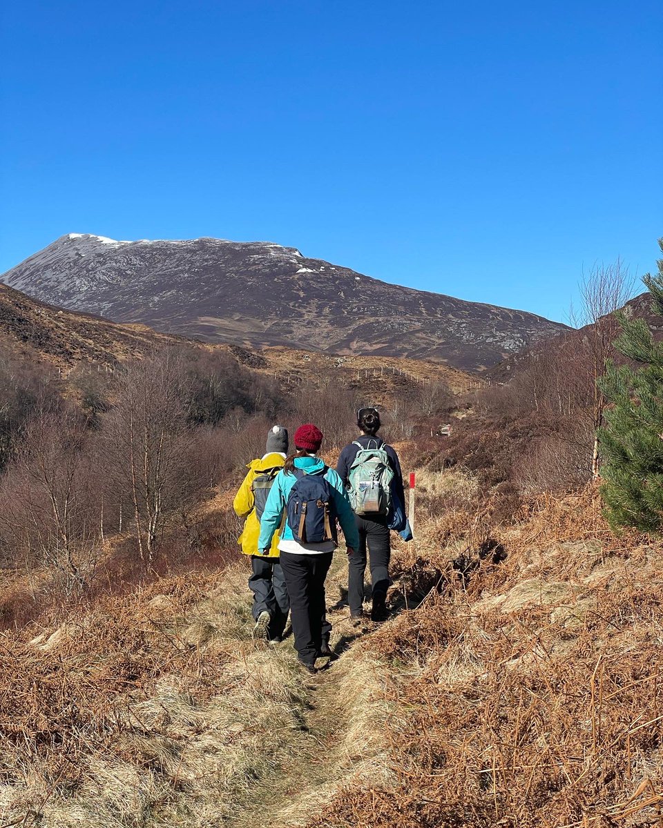 J & L Gibbons tweet media