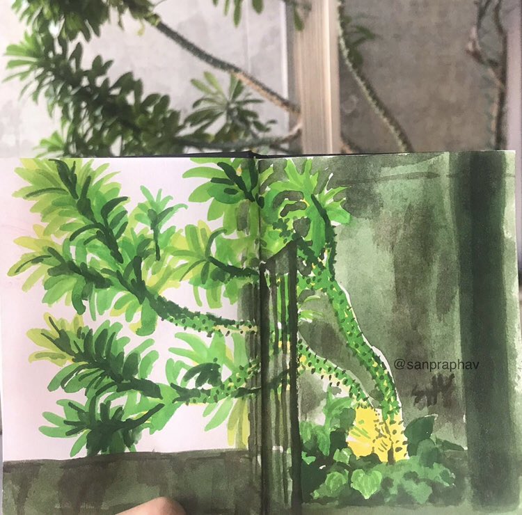 ☘️🍀🌵✨
Long time no gouache!

#sanpraphavsketch
#observationaldrawing #sketchbook #gouache #gouachepainting