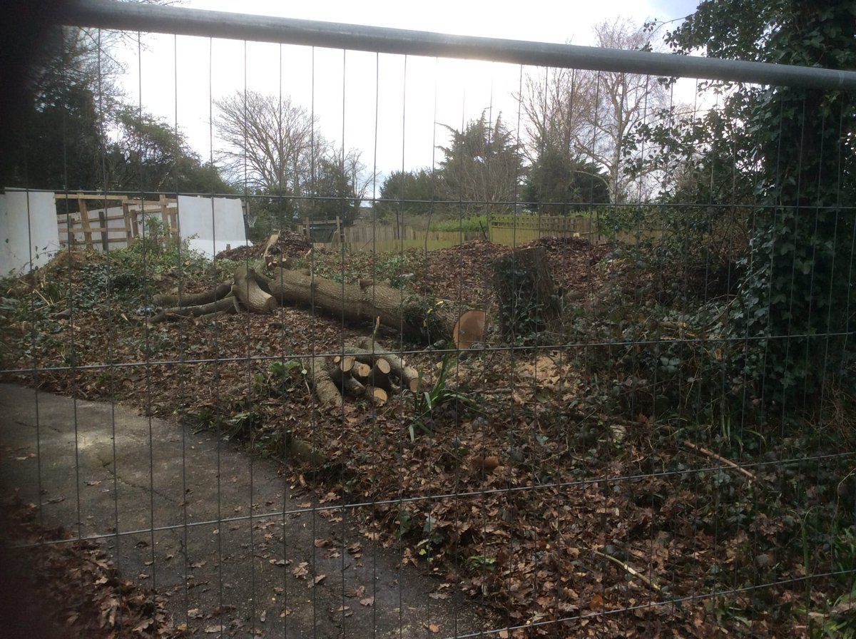 Each tree gone in a matter of minutes 😥. This was a playspace. Developers and council clueless about what quality housing means.