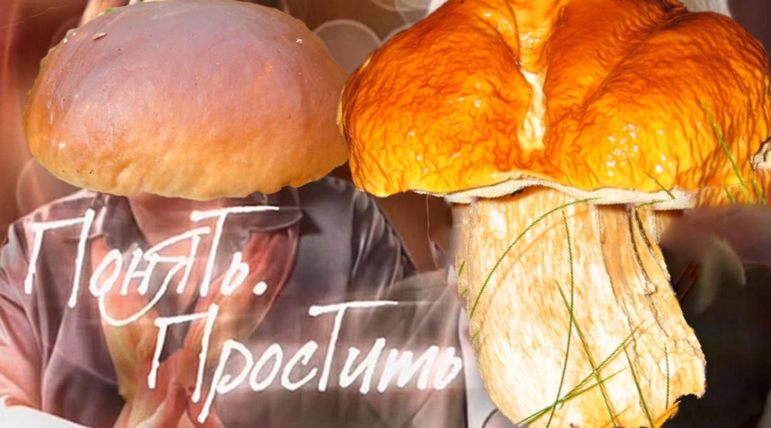 В Москве мужик в неадекватном состоянии хотел проникнуть в мавзолей, где Ленин должен был «отпустить ему грехи», сообщает ТАСС. 

Прибывшие медики отвезли мужчину в психбольницу.