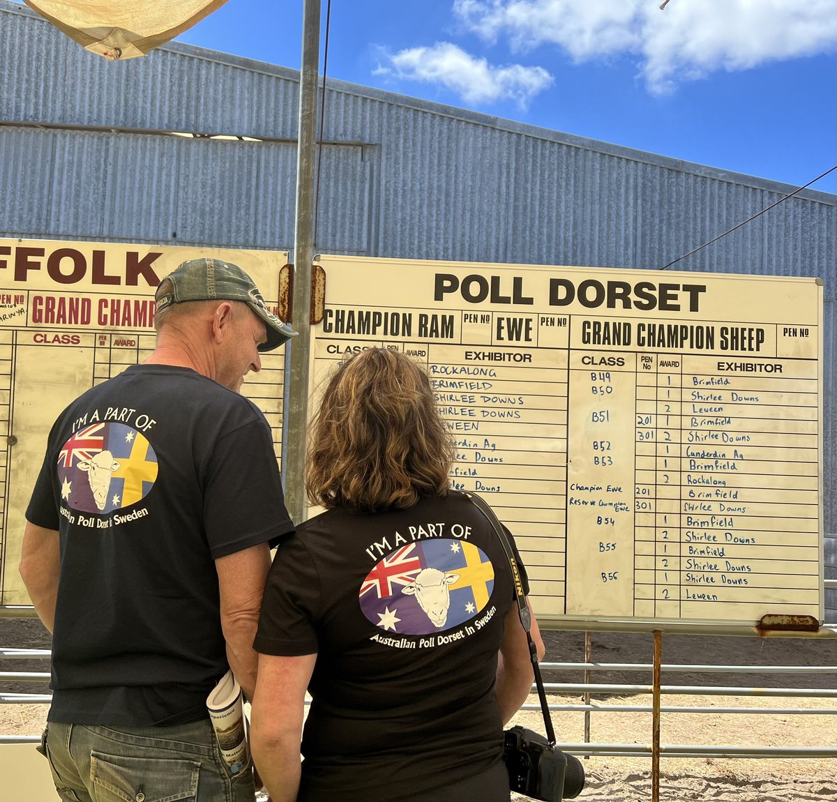 Western Australian Poll Dorset Association tweet media