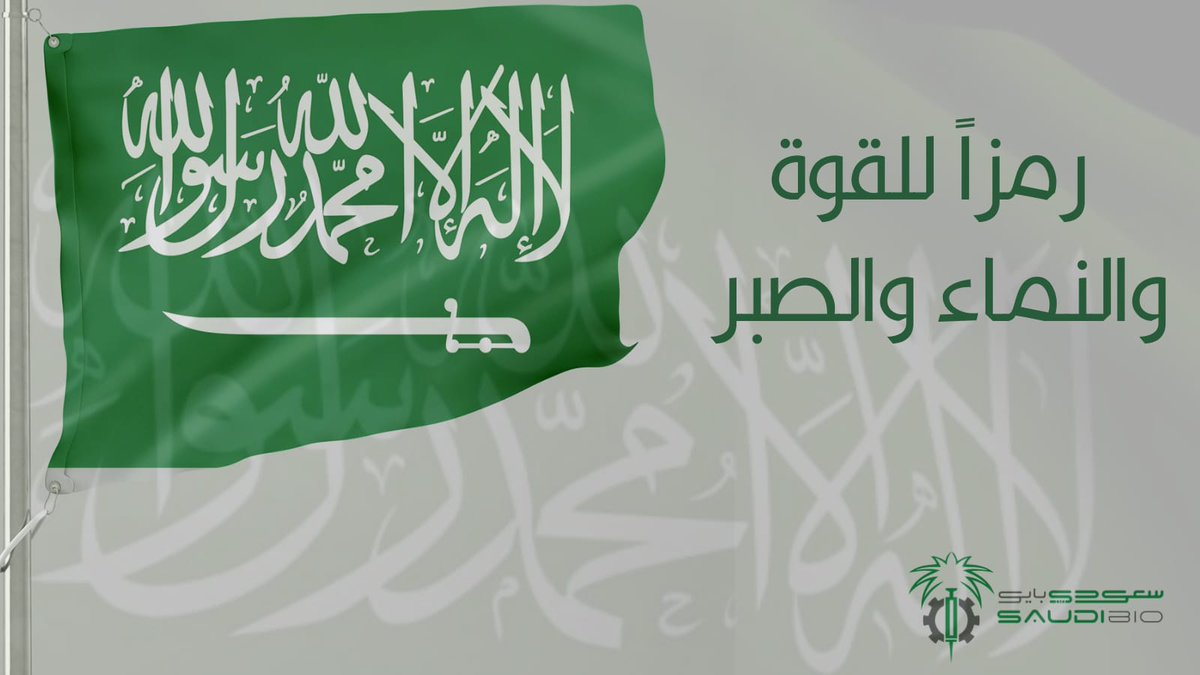 SaudiBioKSA's tweet photo. #يوم_العلم السعودي هو قصة ارتباط عميقة وعظيمة بين الشعب والوطن والقادة، وهو منارة الحب والخير التي يتخذها جميع السعوديين نبراساً للعطاء والمجد. https://t.co/fkcwup2KqB