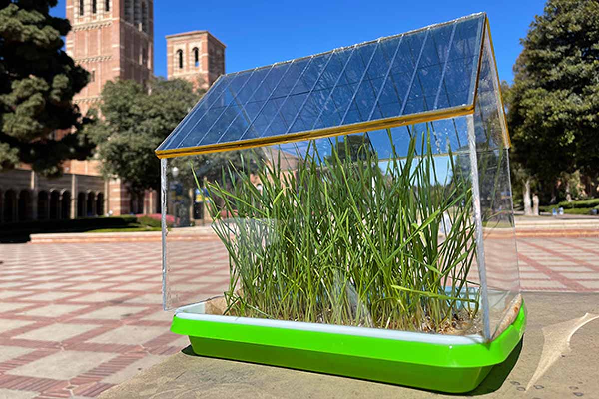 NeozOne's tweet image. Agrivoltaïque : l’invention d’un panneau solaire semi-transparent qui stimule la croissance des végétaux #PanneauxSolaires #Serre

neozone.org/innovation/agr…