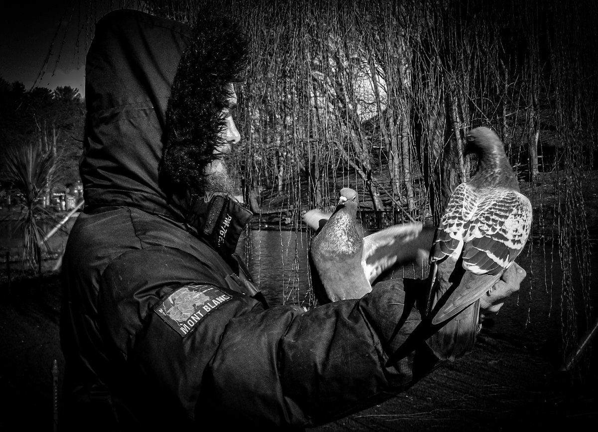 Bird Man of Peasholm Park #streetphotograpy #blackandwhitephoto