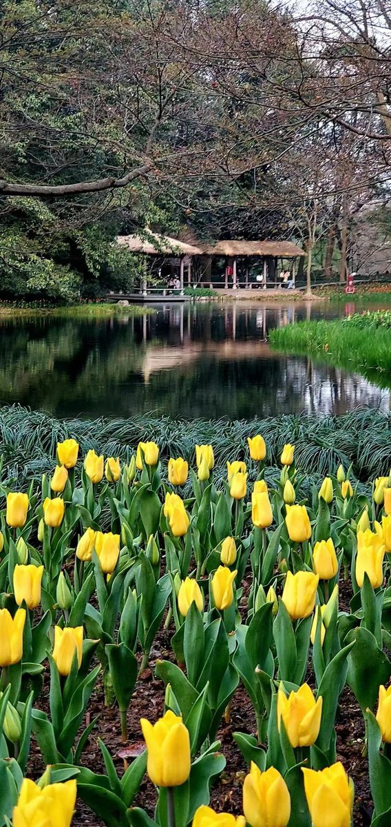 mofazhuzhu's tweet image. #同事随手拍  西湖美景
West Lake in Zhejiang. #SpringInChina