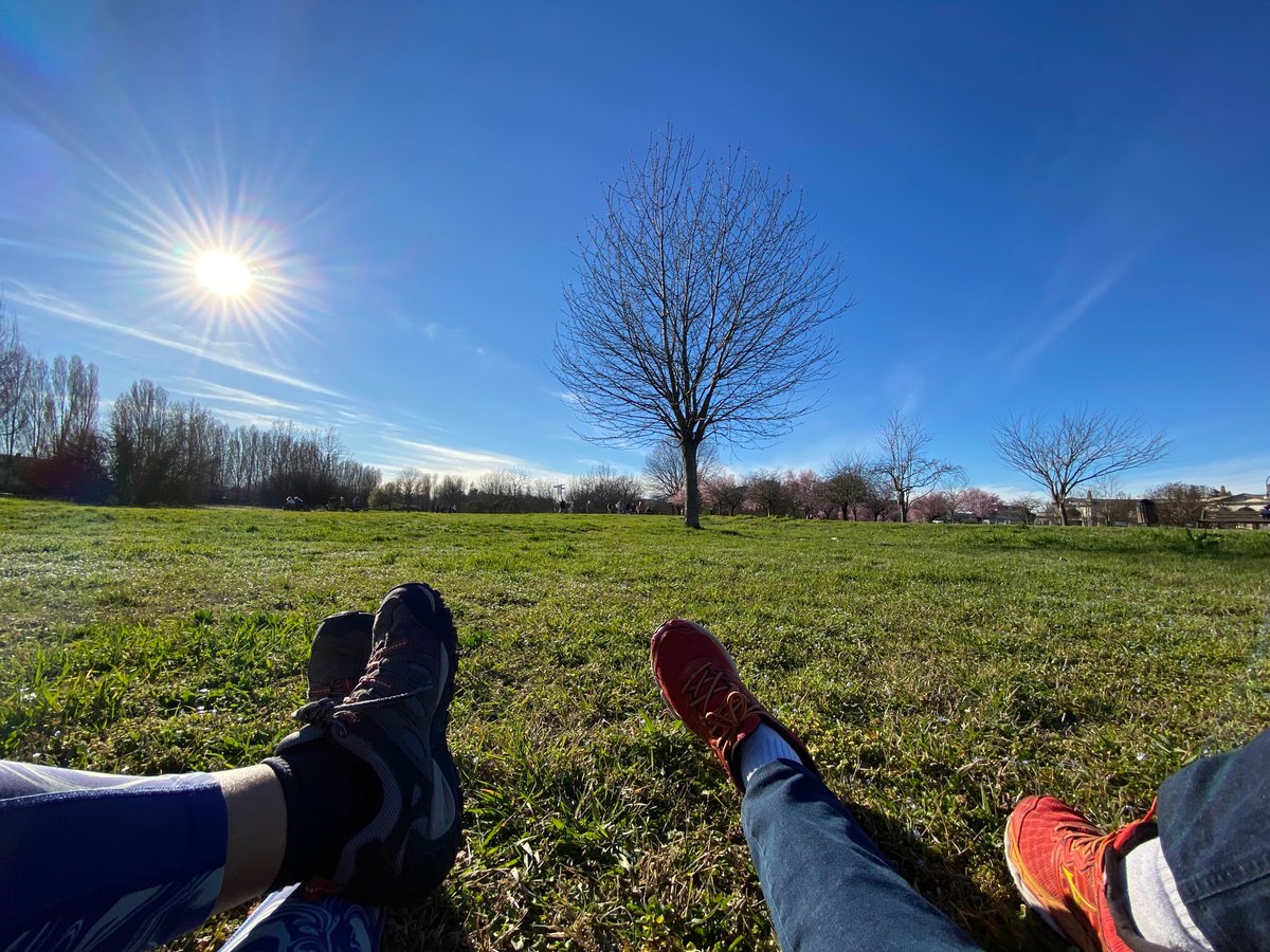 CristianZanrei's tweet photo. Un giorno di ordinario relax
.
@whEngdi
.
#giornatadisole #sunnyday
#sabatopomeriggio #saturdayafternoon 
#relax https://t.co/zLeOhpMBdi