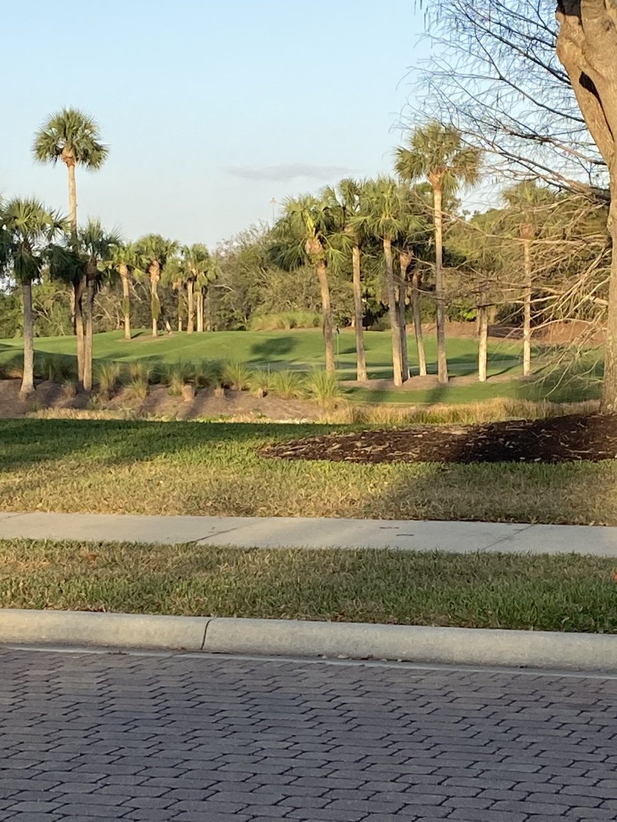 TonyRadarRadio's tweet photo. Missing this as we trek north in ILβ¦. #MissingFlorida https://t.co/uQi4YE0EKc