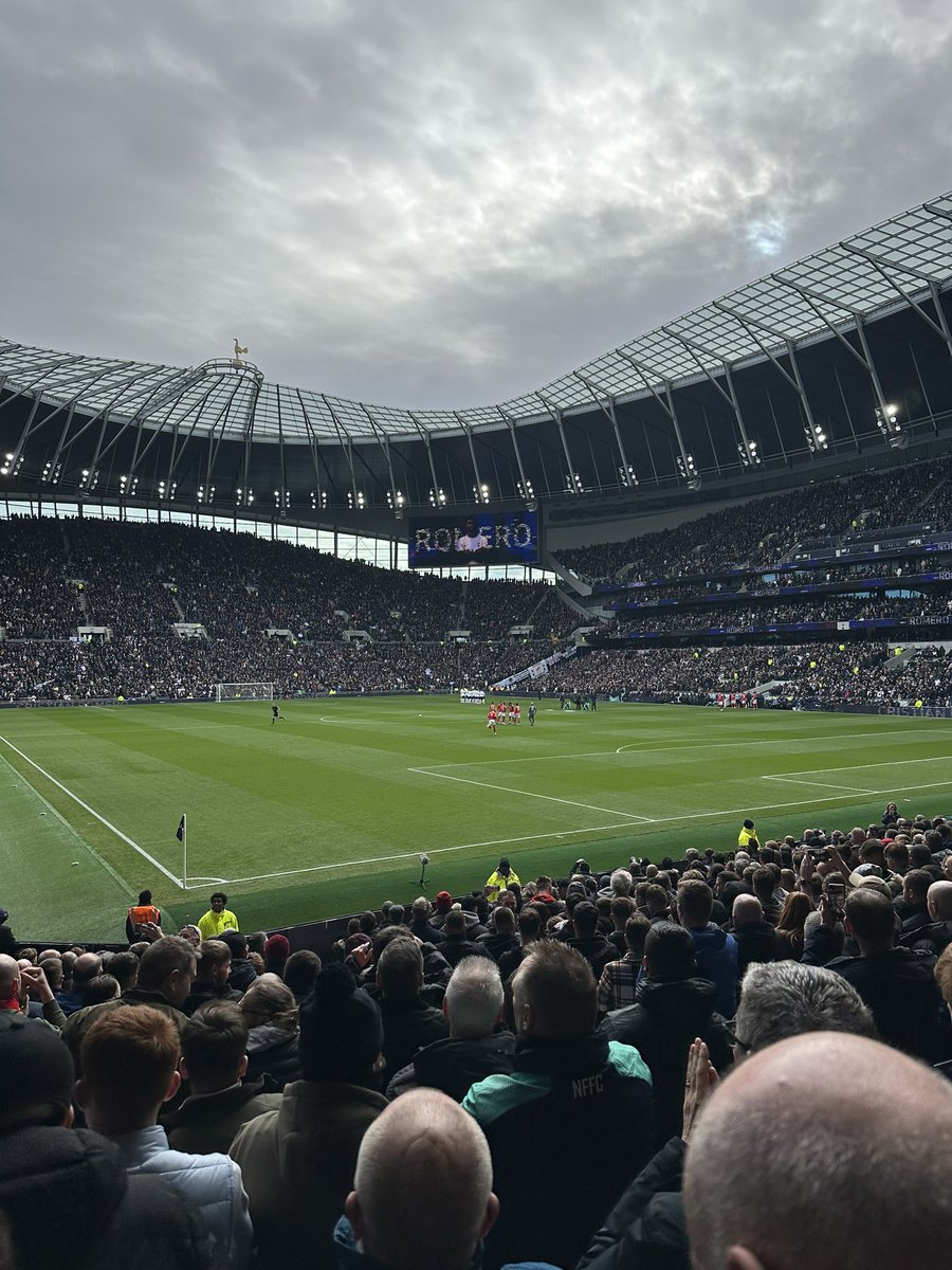 CityGroundShelf tweet media