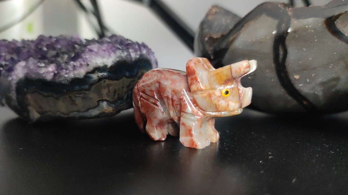 Tuez moi on m'as offert un triceratops en pierre pour mon anniversaire 🥹🥹🥹 je vais littéralement fondre 🥹🥹🥹♥️