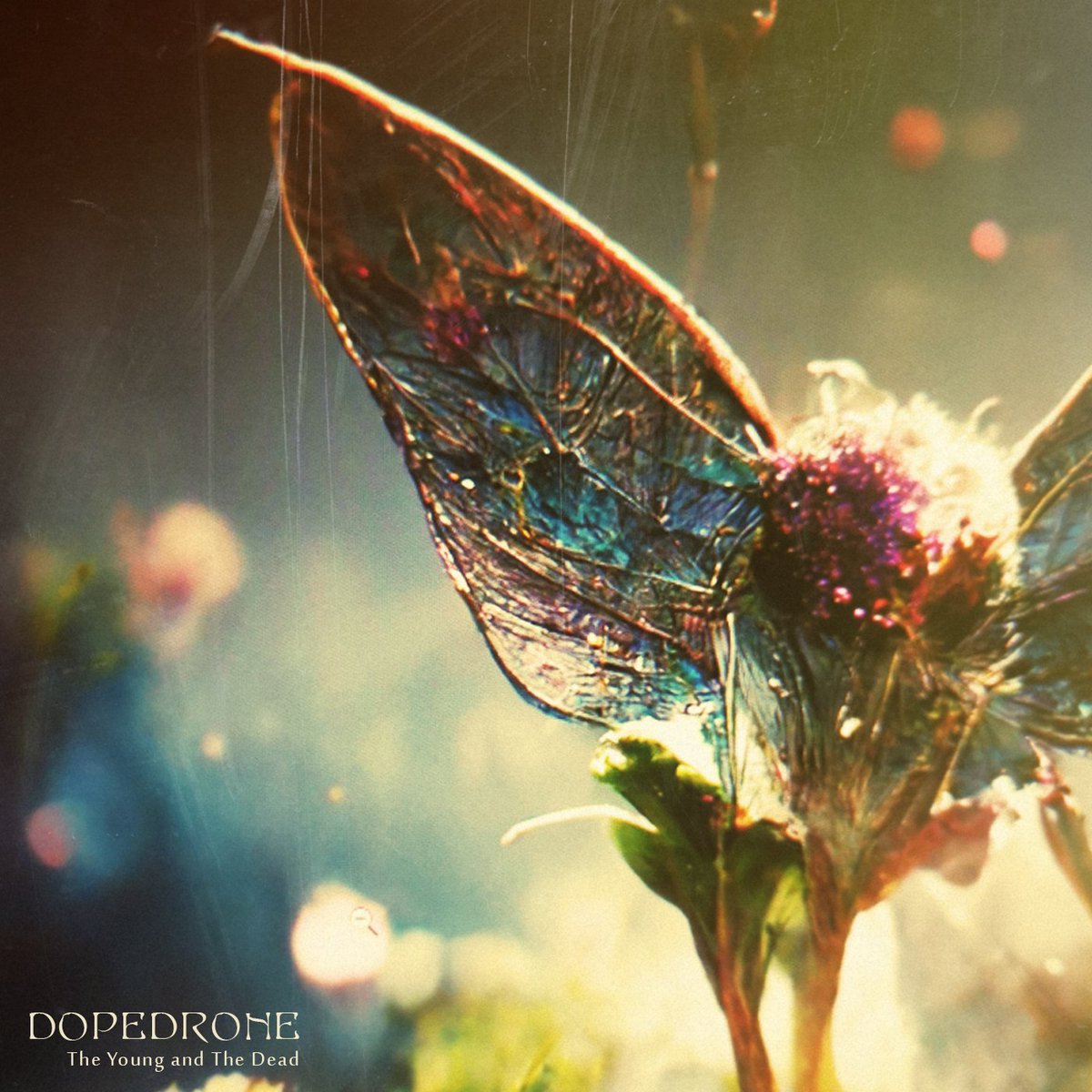 The new Dopedrone album "The Young and the Dead" is out on dopedrone.bandcamp.com/album/the-youn…

#dopedrone #shoegaze #doomgaze